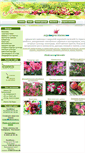Mobile Screenshot of magnolia45.ru